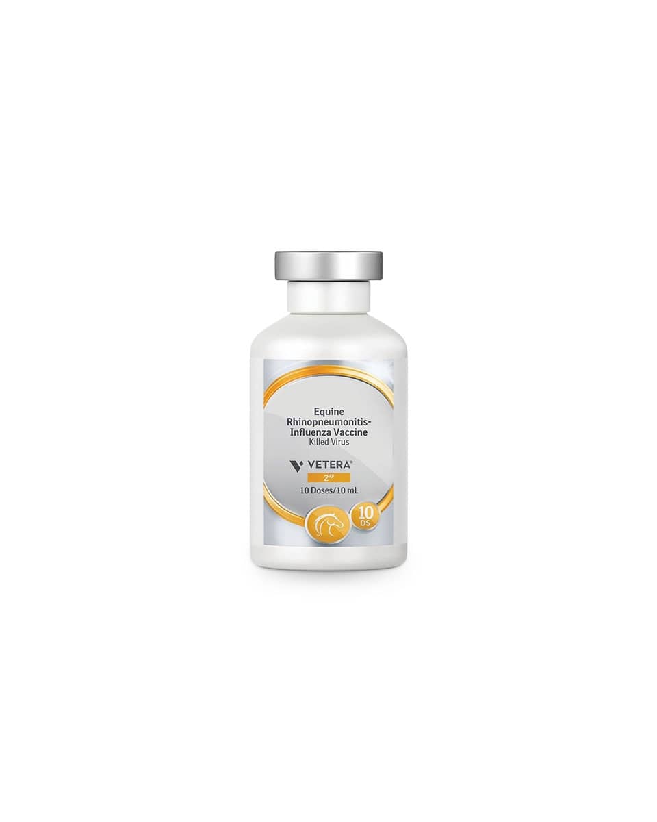 Vetera 2XP Vaccine for equine influenza and equine herpesvirus types 1 and 4 (EHV-1 and EHV-4)