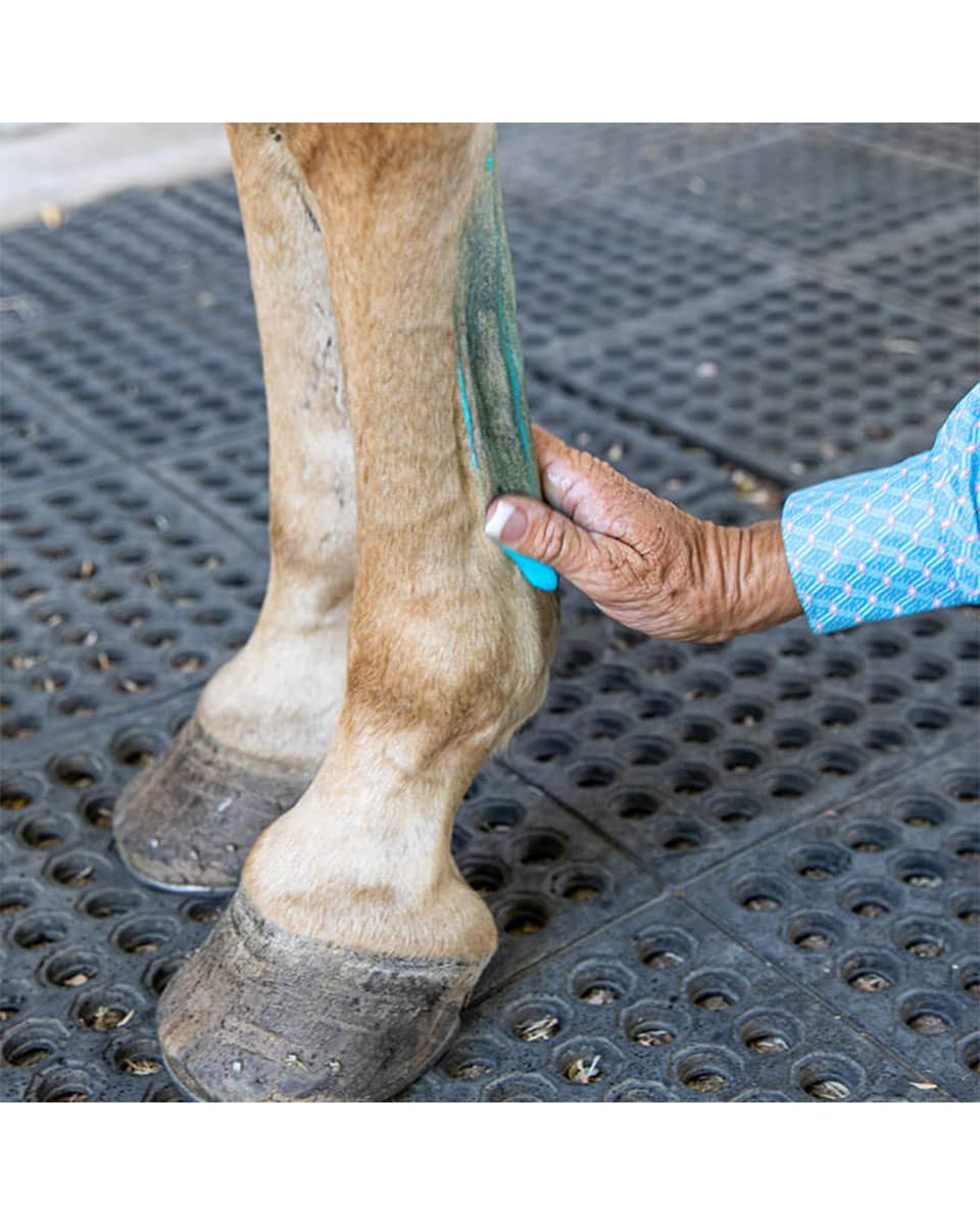 Vetericyn Mobility Equine Liniment