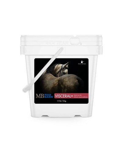 Mad Barn Visceral+ targeted equine gut supplement designed to maintain stomach and hindgut balance