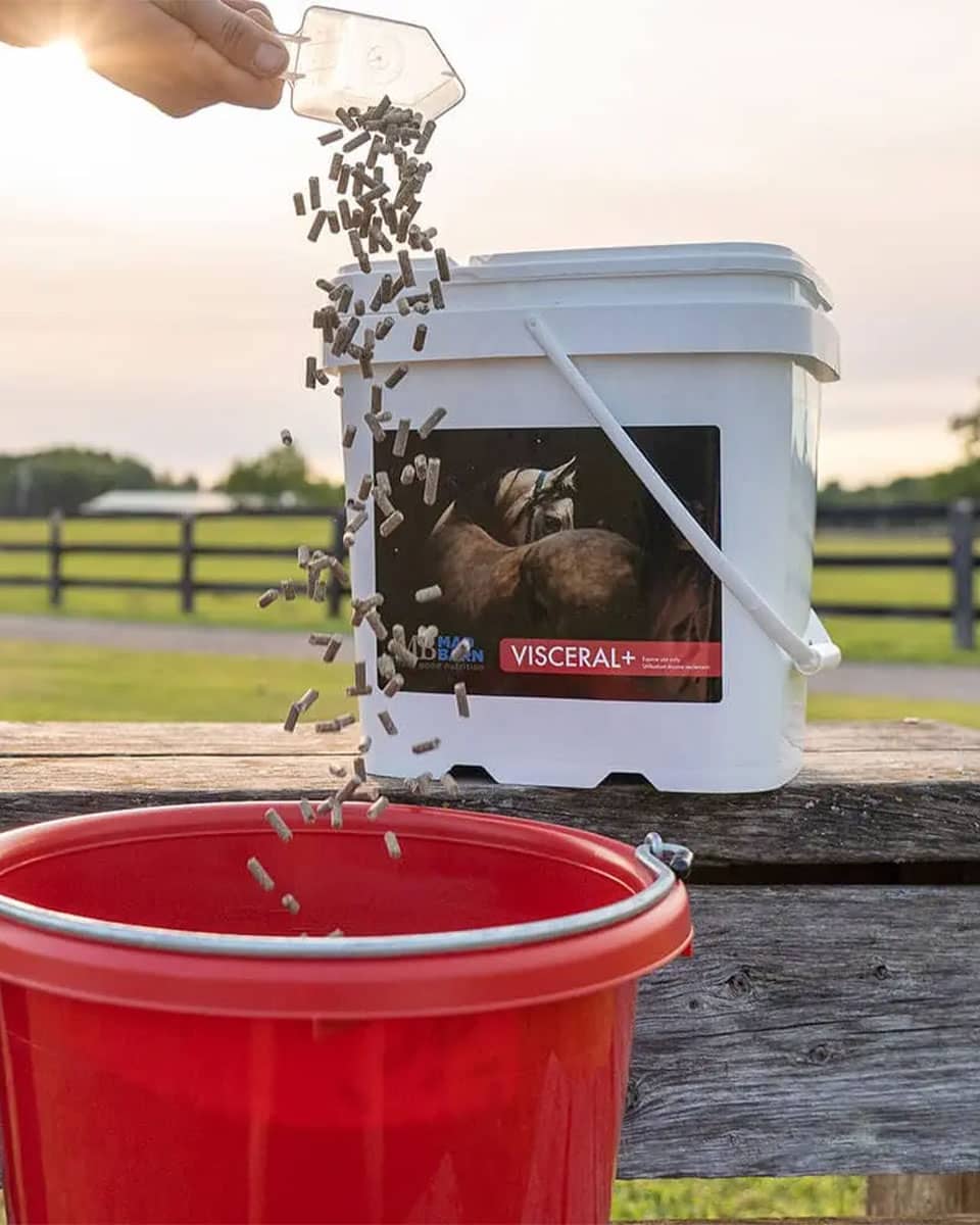 Mad Barn Visceral+, a targeted gut supplement designed to maintain stomach and hindgut balance