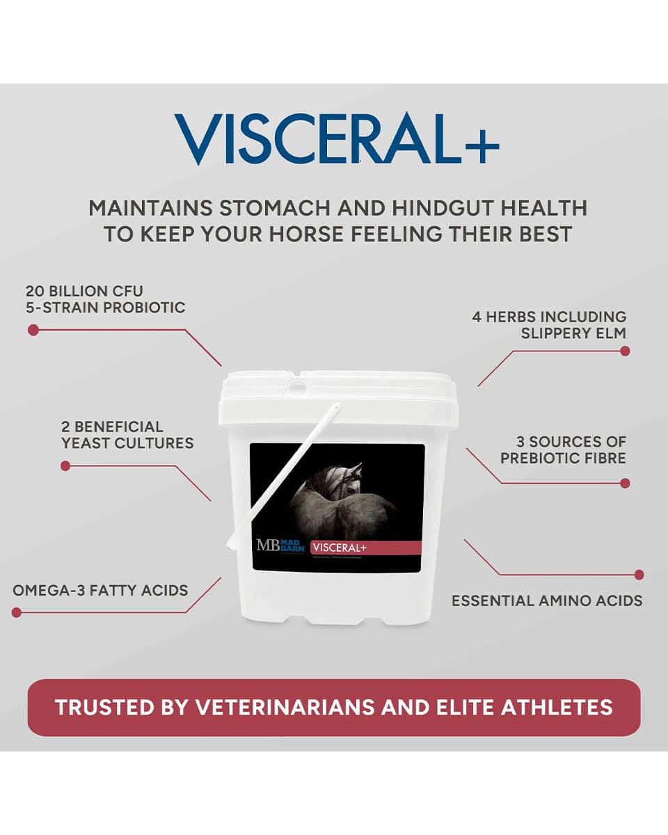 Mad Barn Visceral+ targeted gut supplement for horses