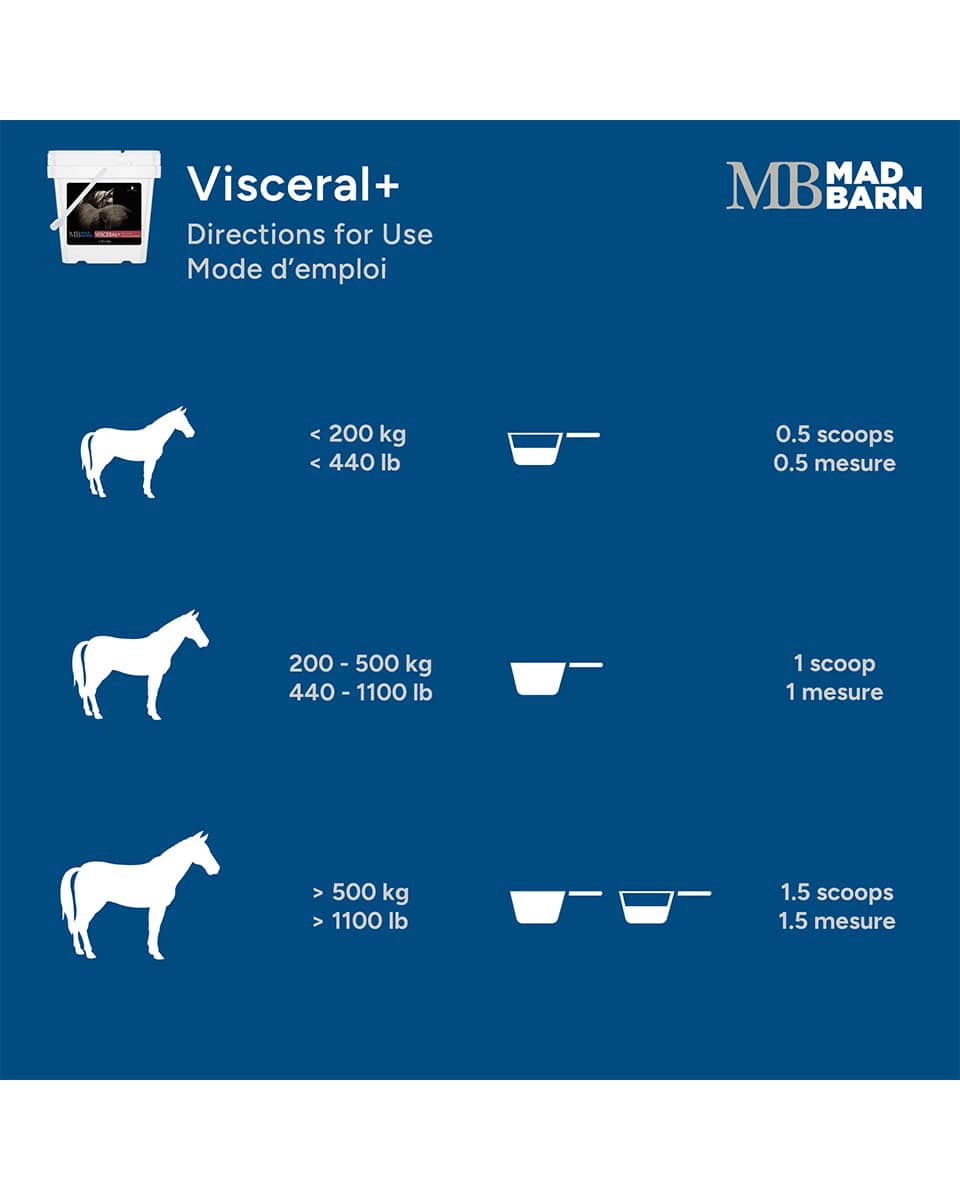 Mad Barn Visceral+ targeted gut supplement for horses - directions for use