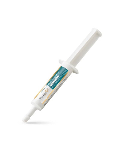 Vita-Flex Foal Response Colostrum Paste