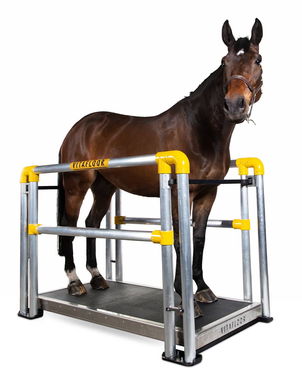 Vitafloor VMC horse therapy platform