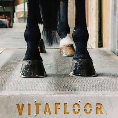 Massage and vibration therapy for horses at FarmVet.