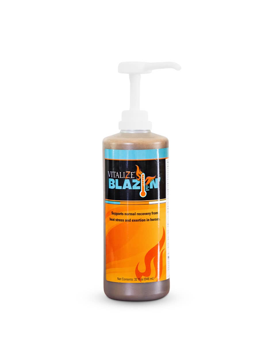 Vitalize Blazin' by BioZyme - heat stress supplement for horses