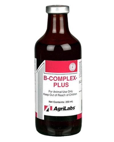 Vitamin B-12 Injection