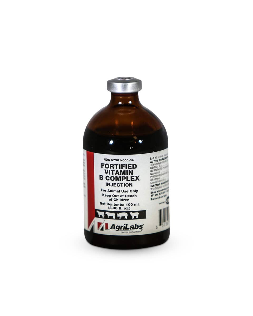 Vitamin B Complex Fortified Injection - 100 ml/100 mcg