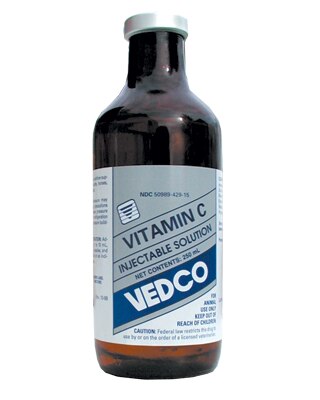 Vitamin C for Horses