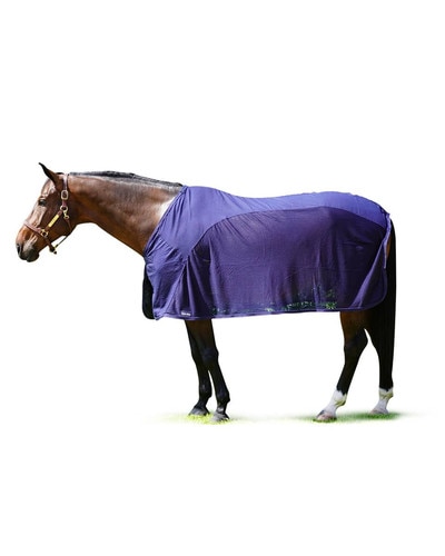WhitakerRastrick Collo Standard Tappeto per Mostra del Cavallo (TL6296