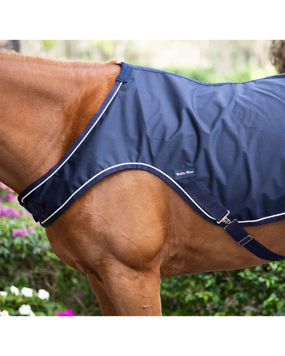 Wellie-Wear Walker Sheet