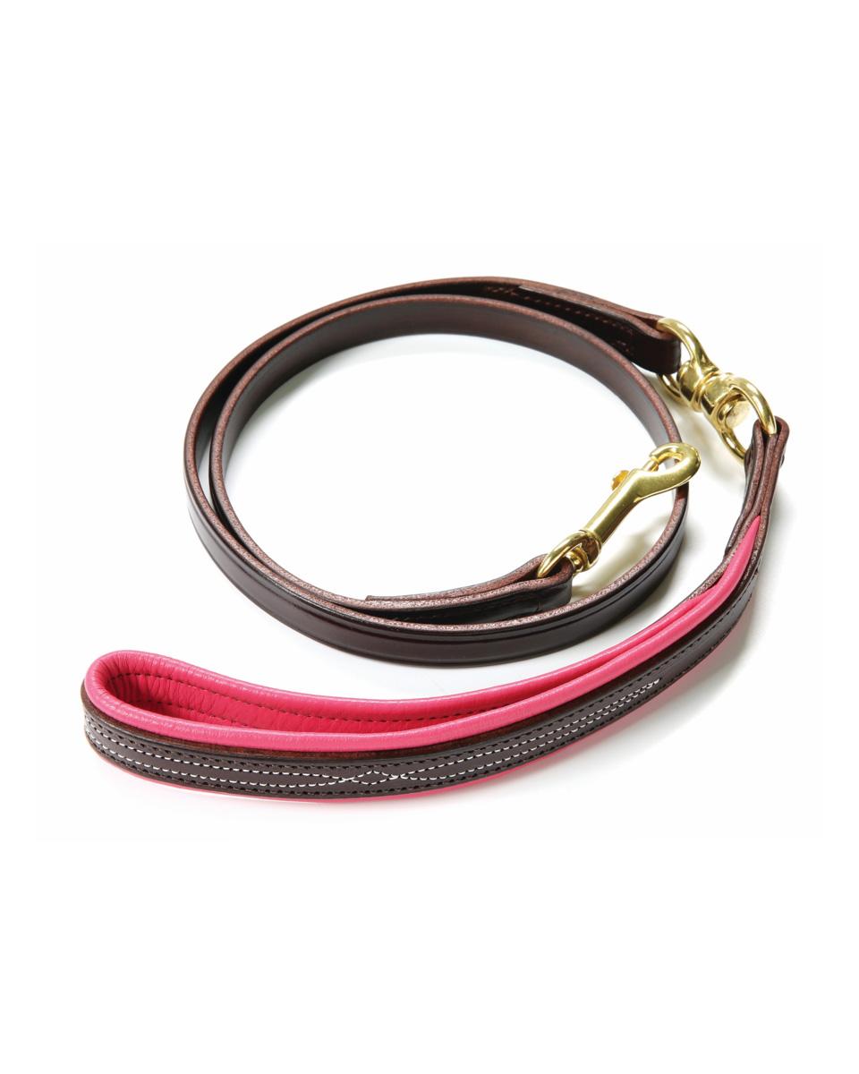 Walsh Signature Dog Leash