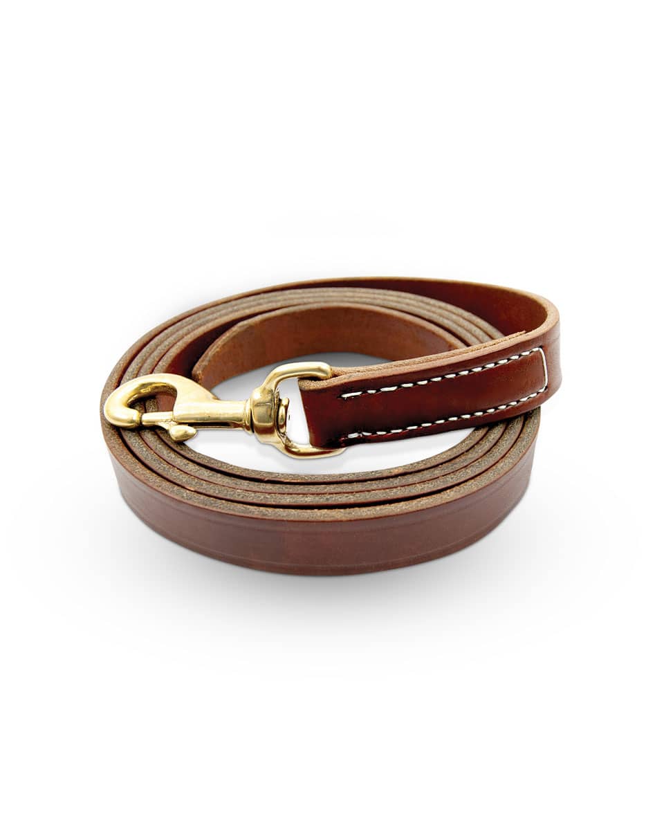 Walsh Leather Lead with Snap