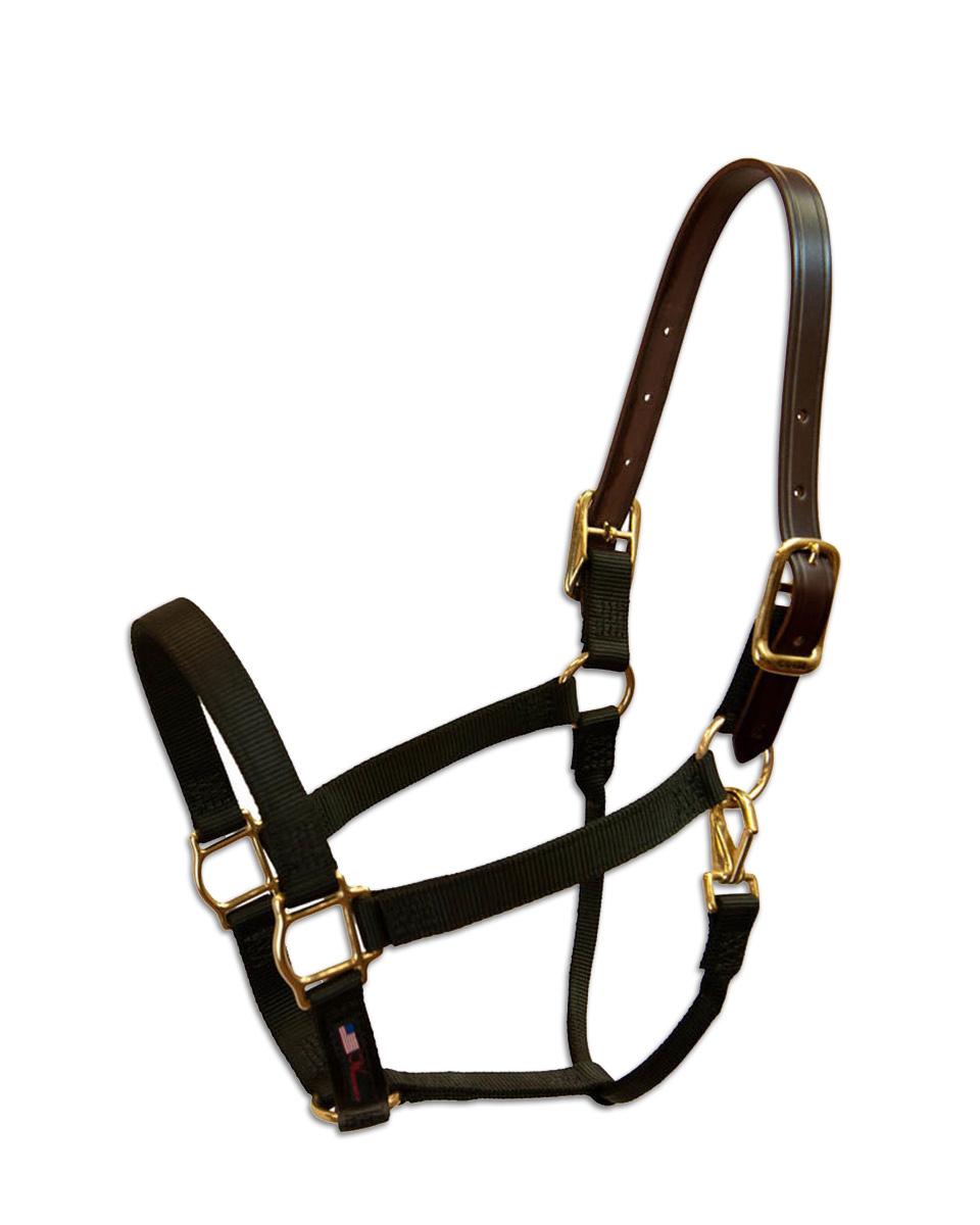 Walsh Nylon Breakaway Halter 3/4"