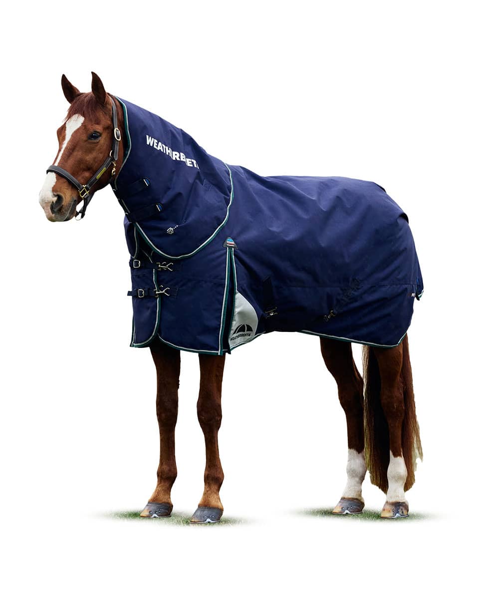 WeatherBeeta Comfitec Plus Dynamic Detach-a-Neck 220g Medium - Navy/Forest Green