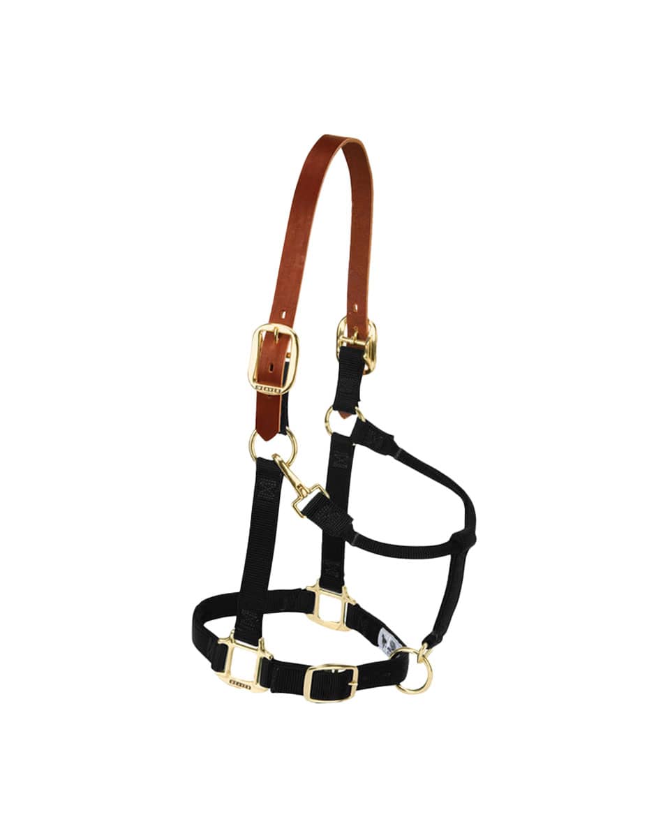 Weaver Nylon Breakaway Halter