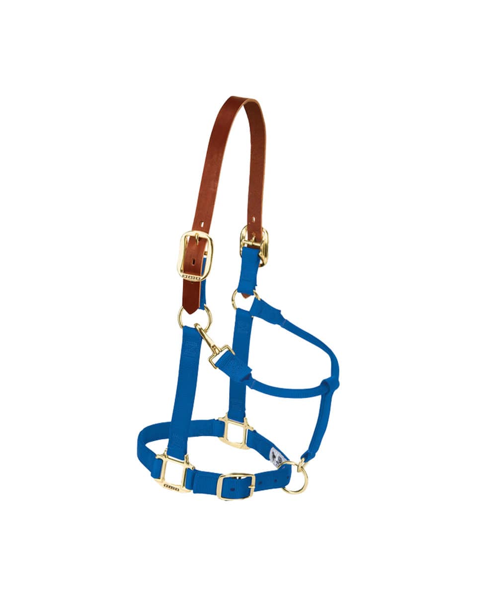 Weaver Nylon Breakaway Halter