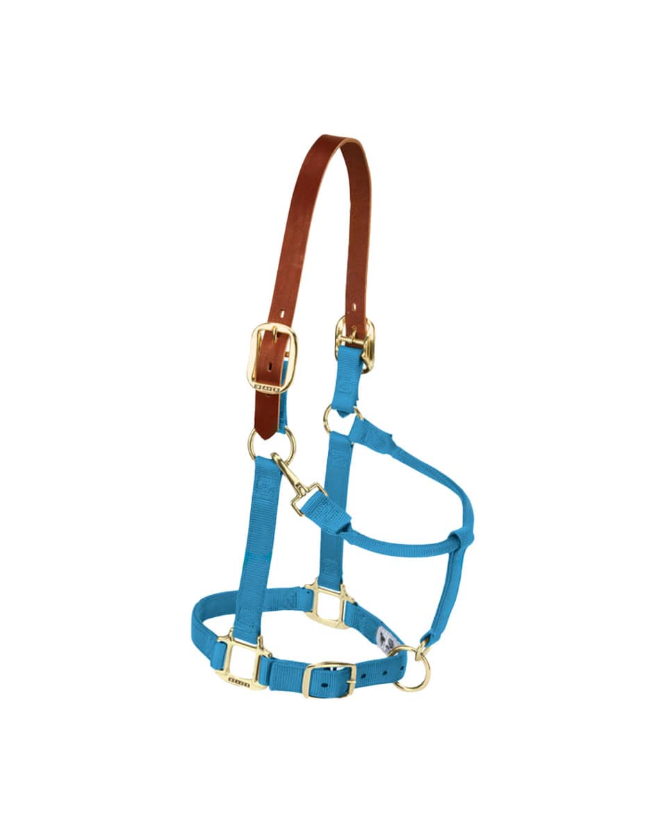 Weaver Nylon Breakaway Halter