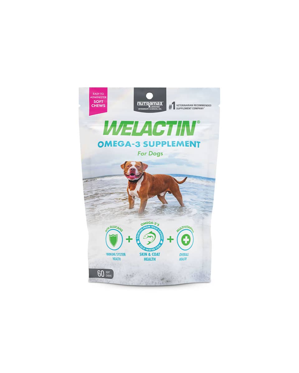 Welactin Omega-3 Soft Chews for Dogs