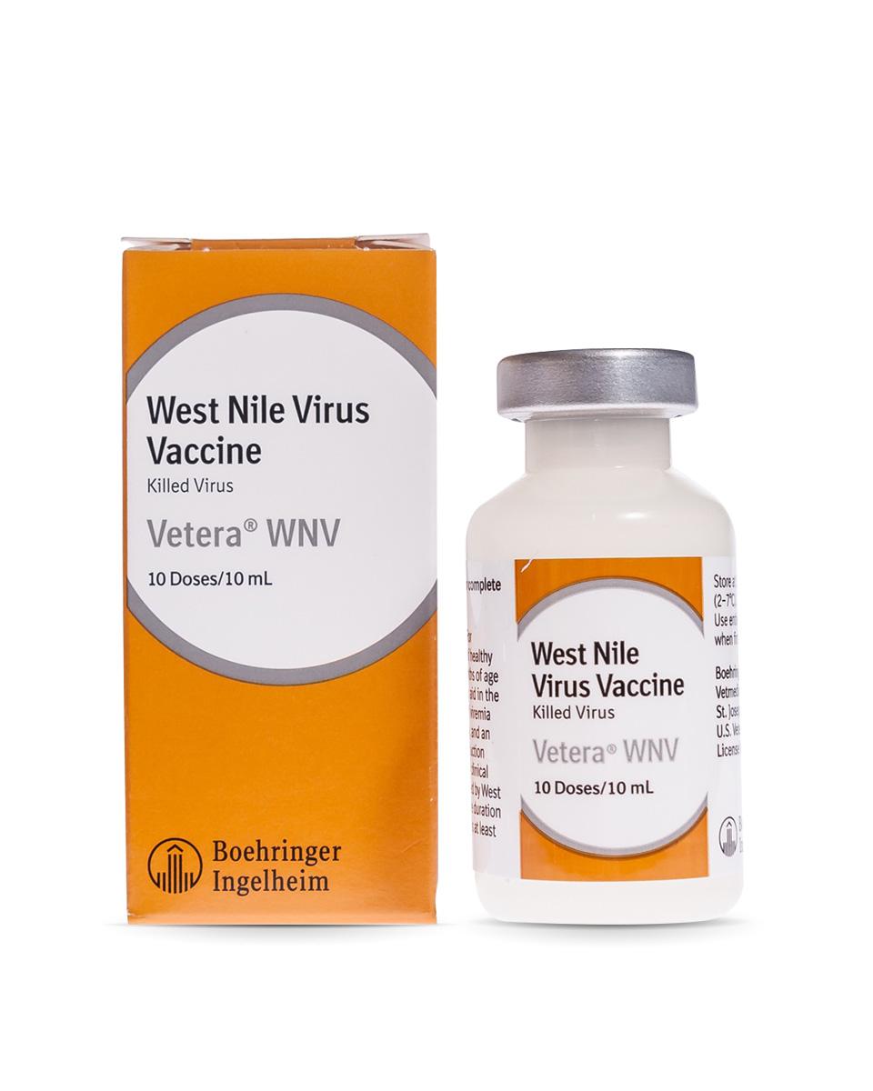 Vetera West Nile