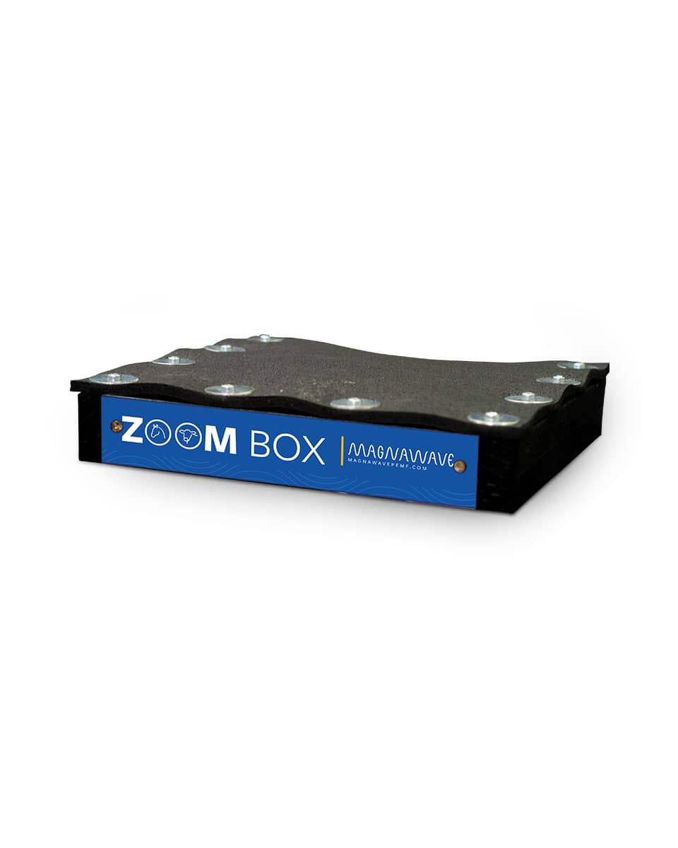 MagnaWave Zoom Hoof Box