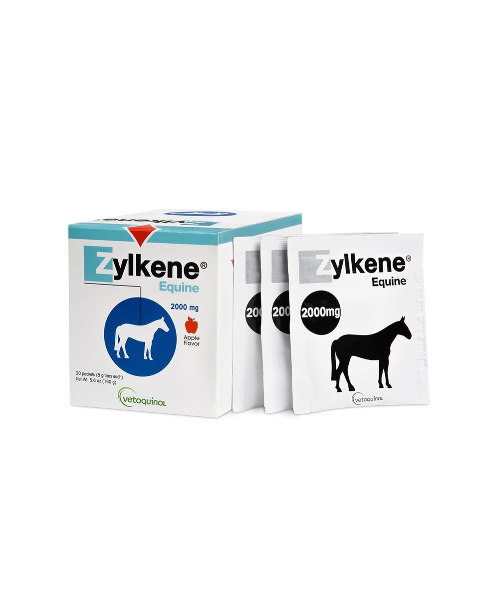 Zylkene Equine calming supplement