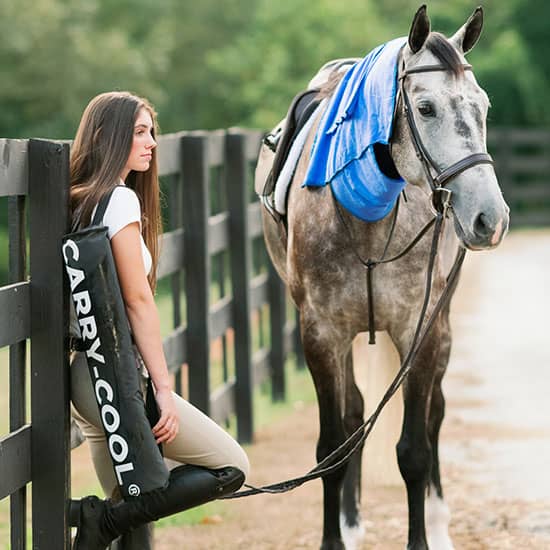 Carry-Cool Equine Cooling Kit at FarmVet
