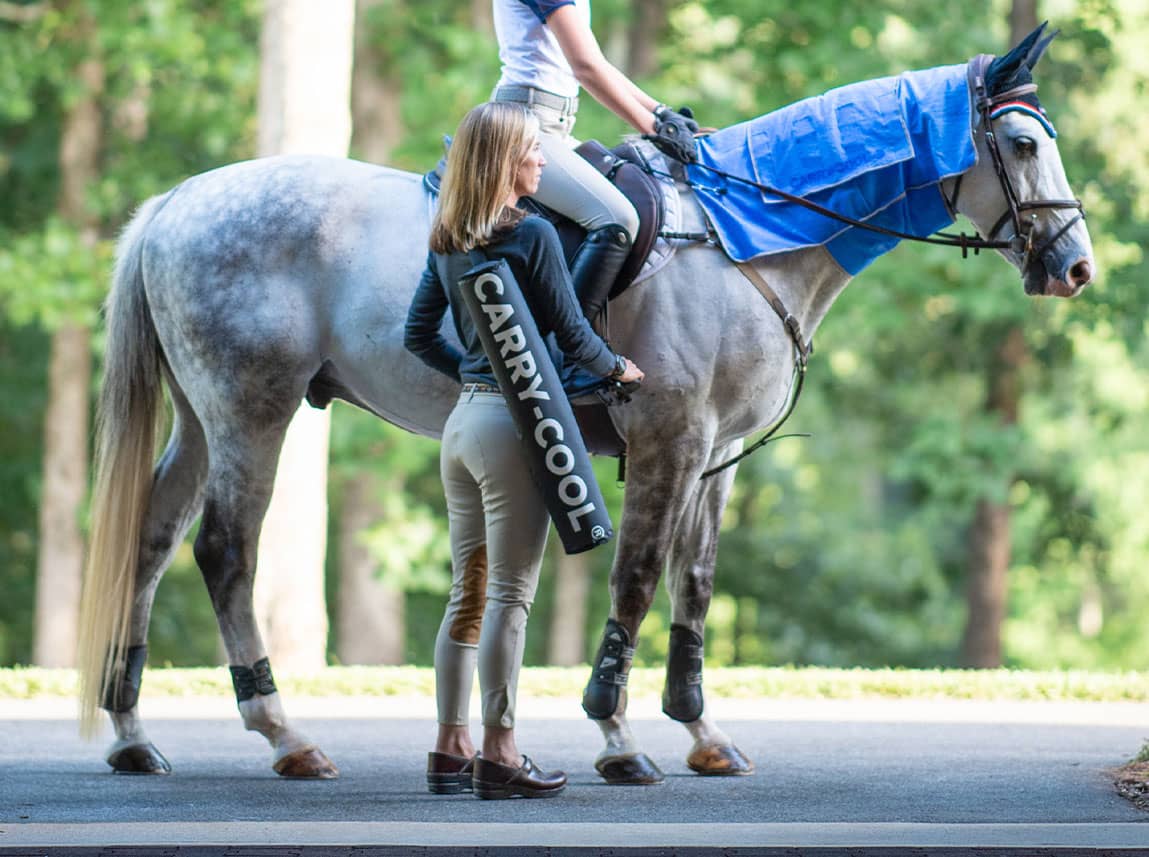 Carry-Cool Equine Cooling Kit at FarmVet
