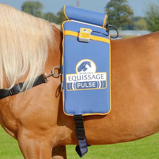 Niagara Equissage therapy for horses at FarmVet