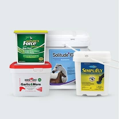Fly supplements for horses at FarmVet.com.