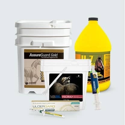 Gastric support horse products at FarmVet.com.