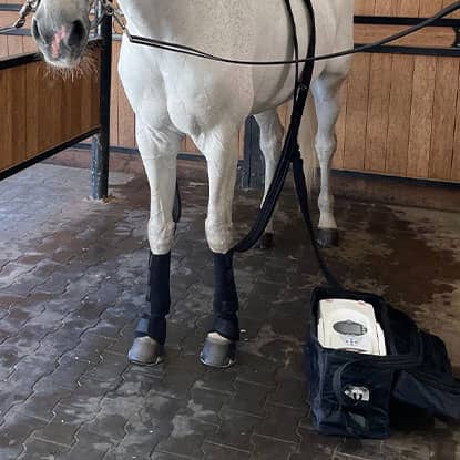 Hot & Cold (Ice) Thearpy for horses at FarmVet.