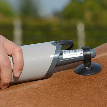 Massage and vibration therapy for horses at FarmVet.
