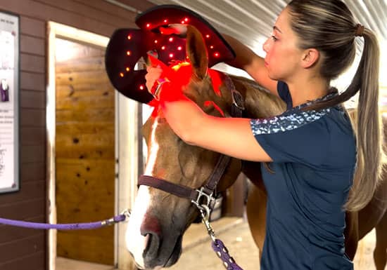 How Light Therapy Benefit Your Pet Blog