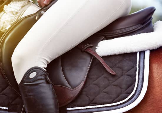 10 Equestrian Essentials for Back-to-School Shopping