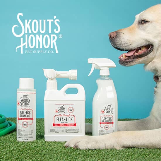 LumaSoothe red light therapy to soothe dog and cat joint paint.