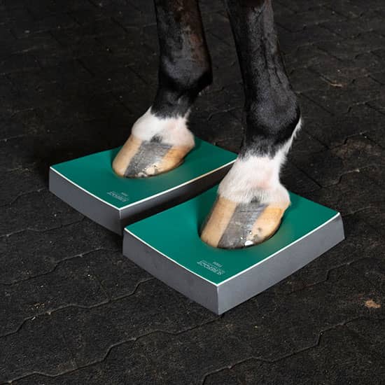 Sure Foot Horse Therapy Products at FarmVet