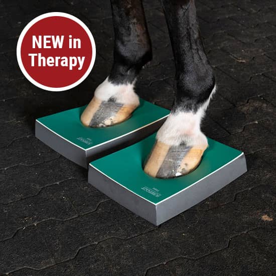 Sure Foot Horse Therapy Products at FarmVet