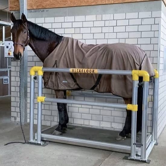 Vitafloor horse therapy available at FarmVet.com.