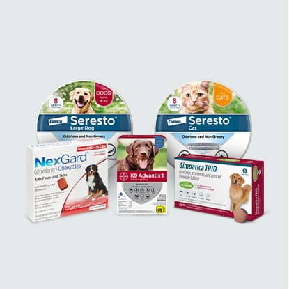 Shop Flea and Tick Solutions at FarmVet.