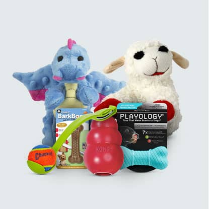 Shop dog and cat toys at FarmVet.